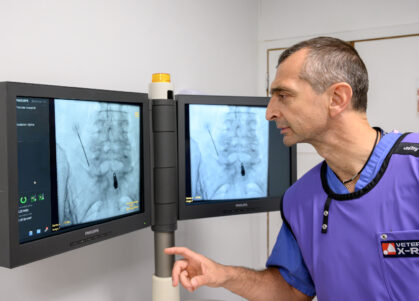 A radiologist looks at X-Rays on a monitor